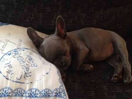 Zzzz..