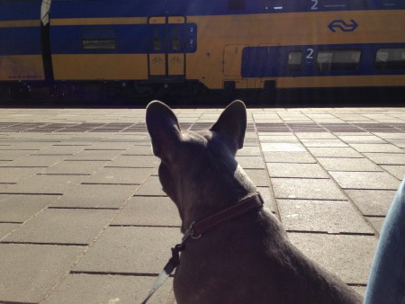 Aan het wachten op de trein